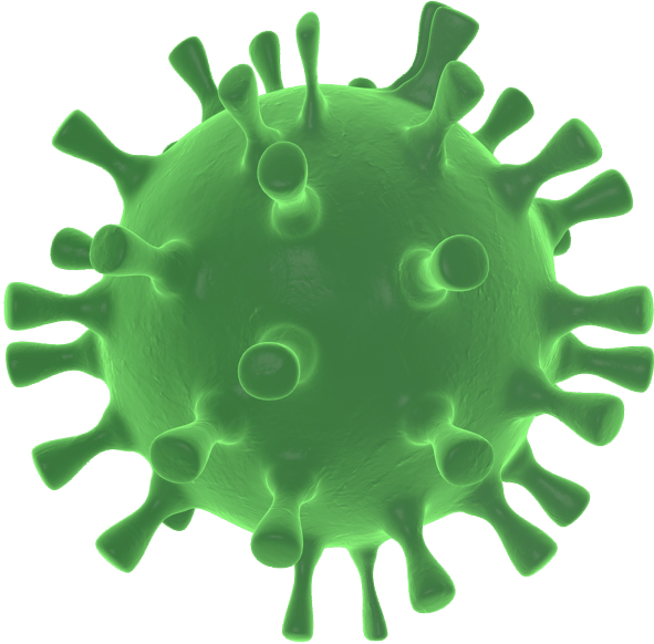 covid 19 virus